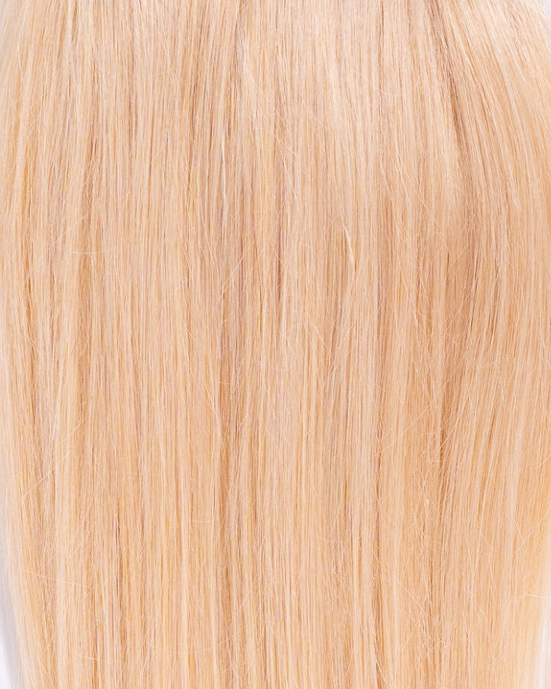 AMBER: Coleta Lisa Cabello 100% Natural