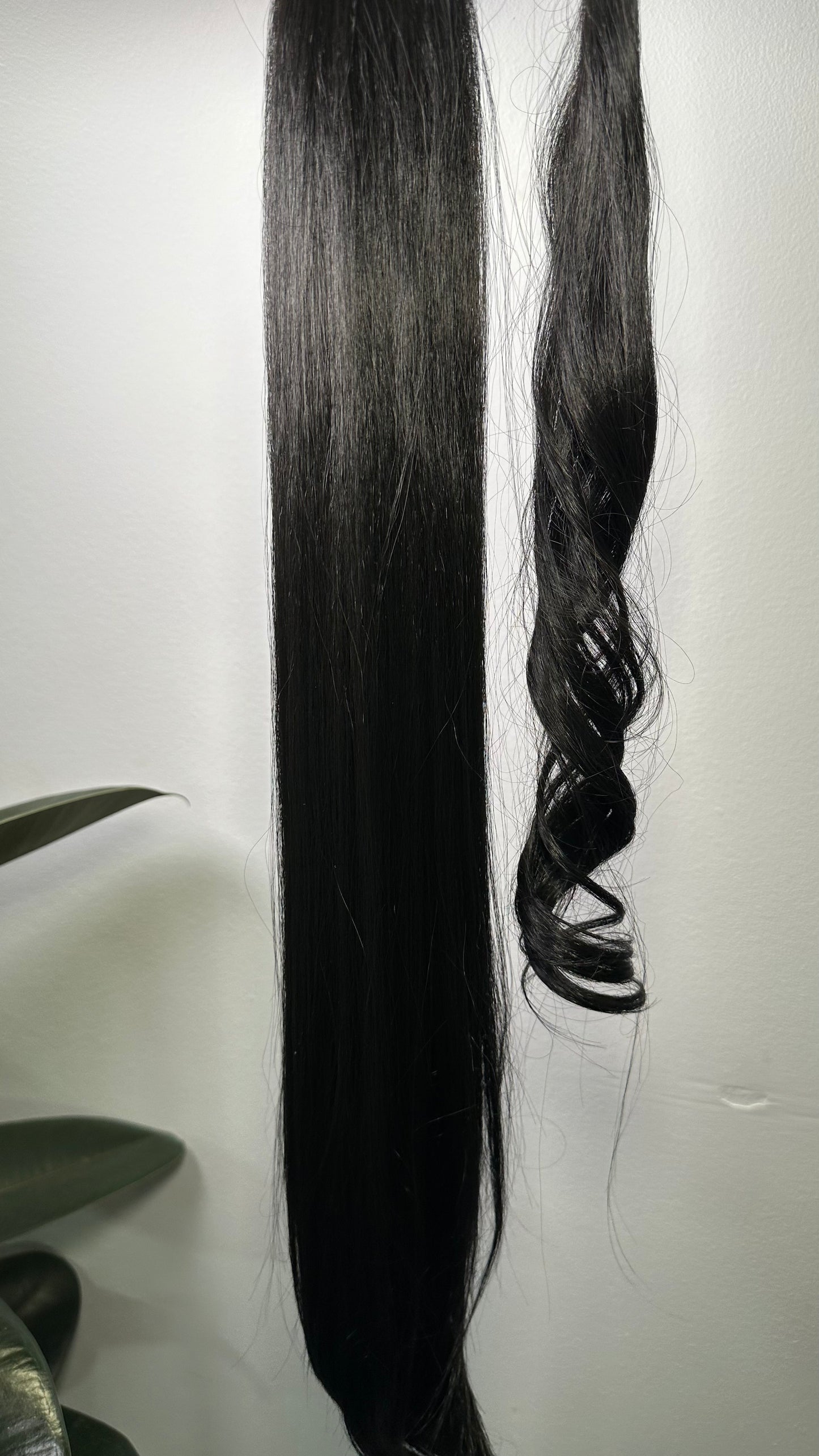 NOVA: Coleta Lisa Sintética