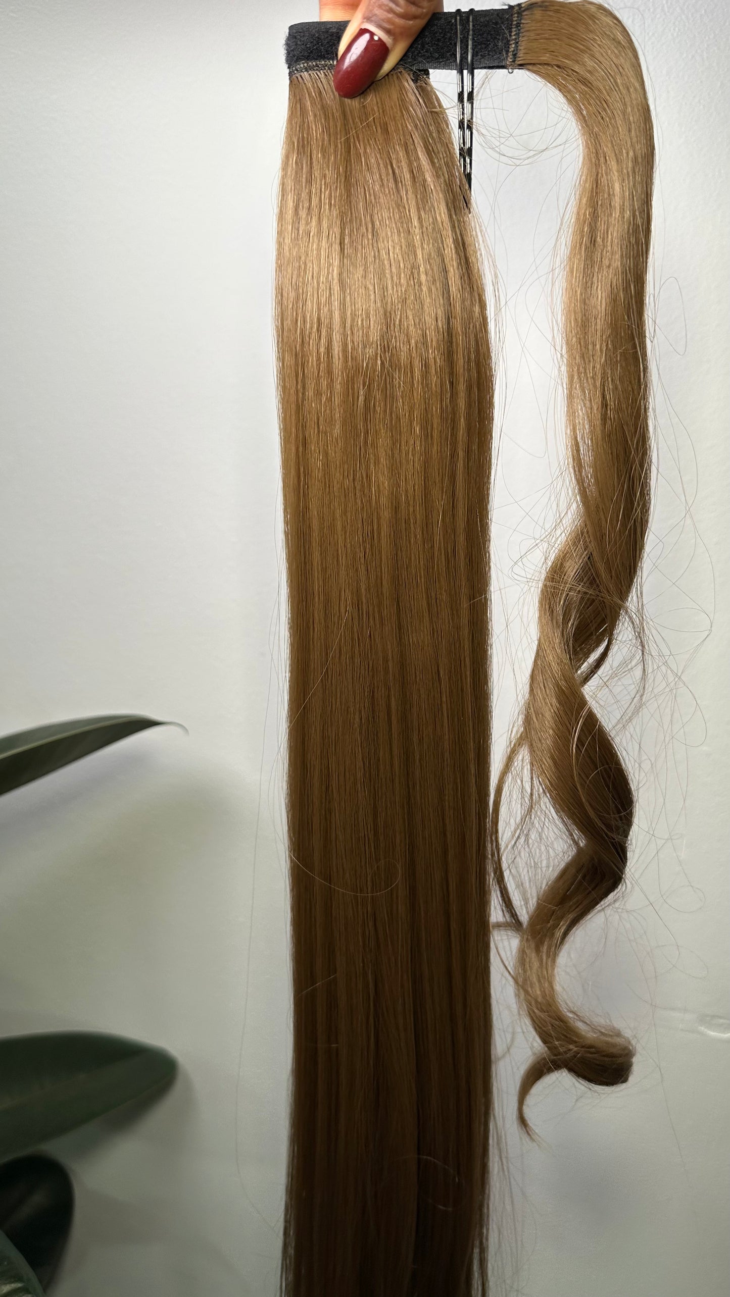 NOVA: Coleta Lisa Sintética