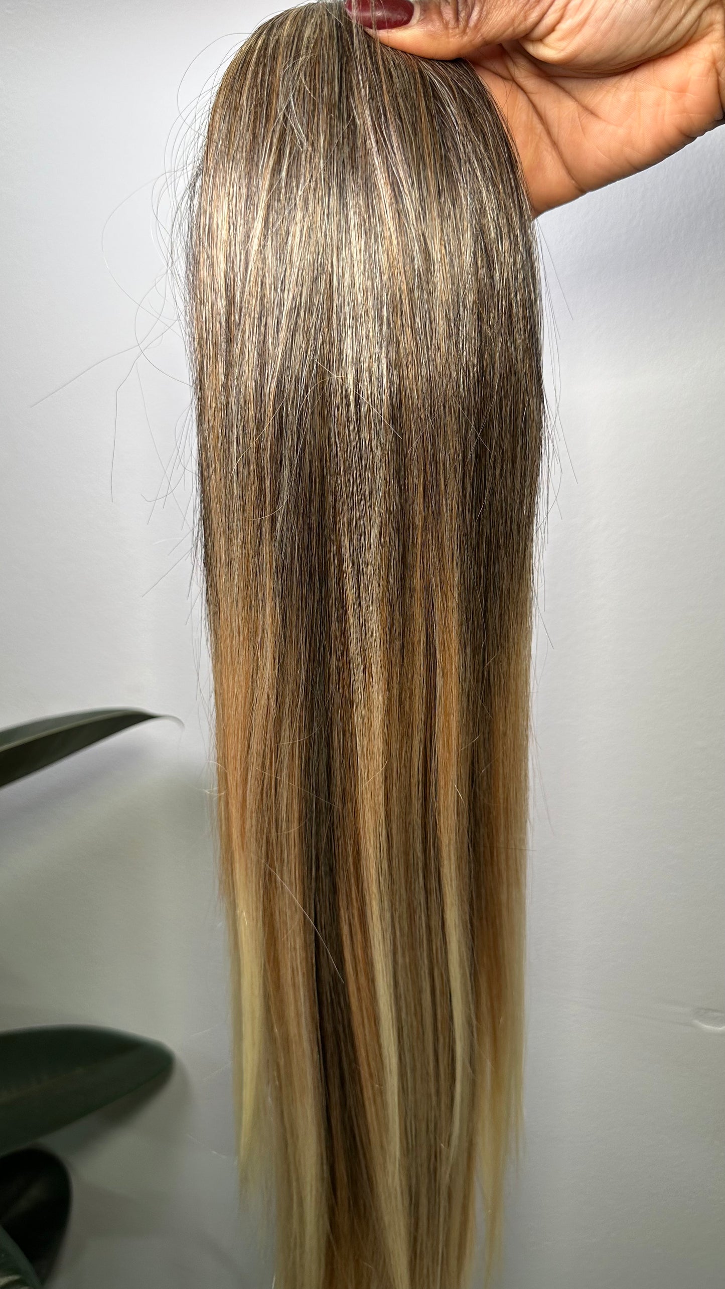 NOVA: Coleta Lisa Sintética